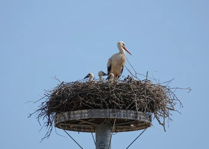 Himmelblau Tatil Evi Zerpenschleuse